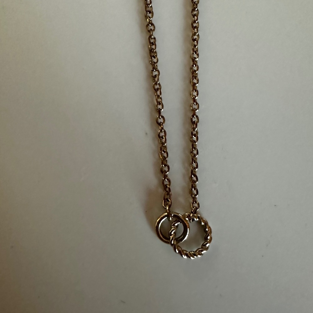 Jewelry:  Simple gold necklace O-ring pendent